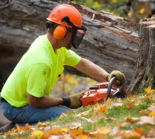 tree services Carl Junction